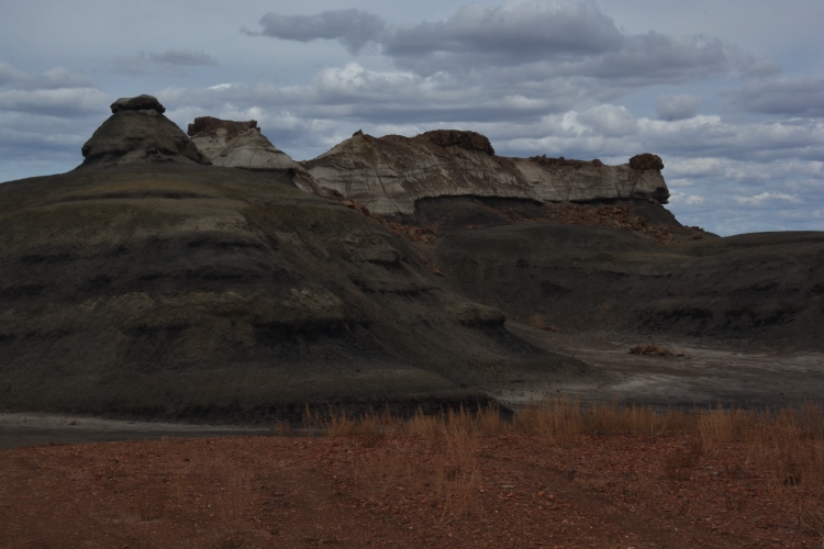 bisti wilderness